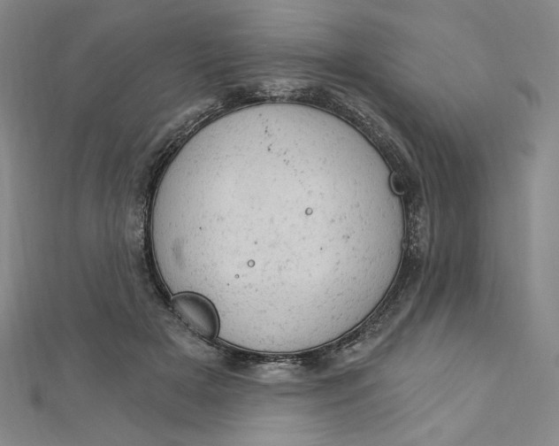 X0000112780505200909031631