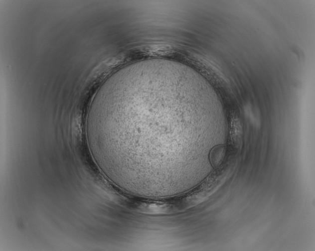 X0000112780506200909031631