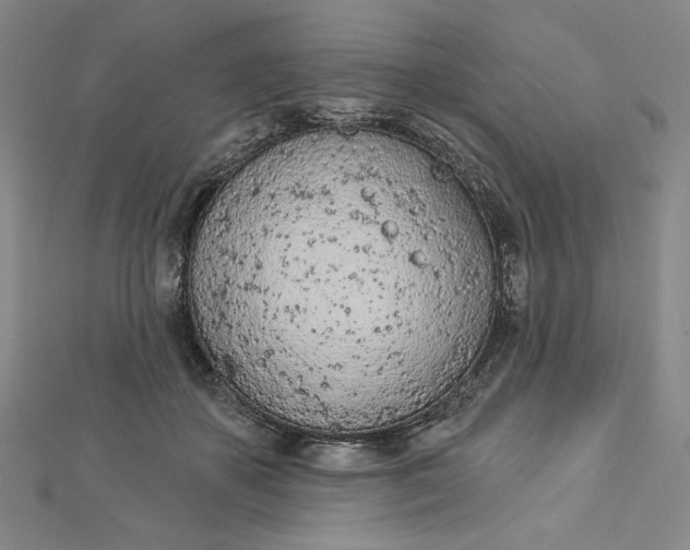 X0000112780507200909031631