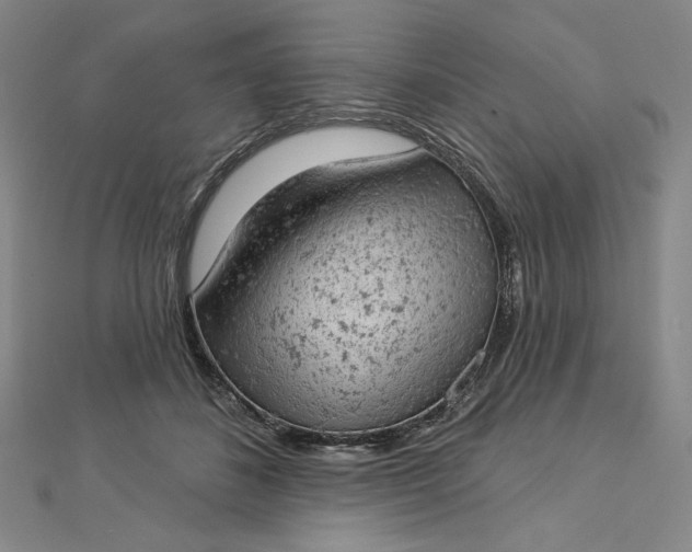 X0000112780508200909031631