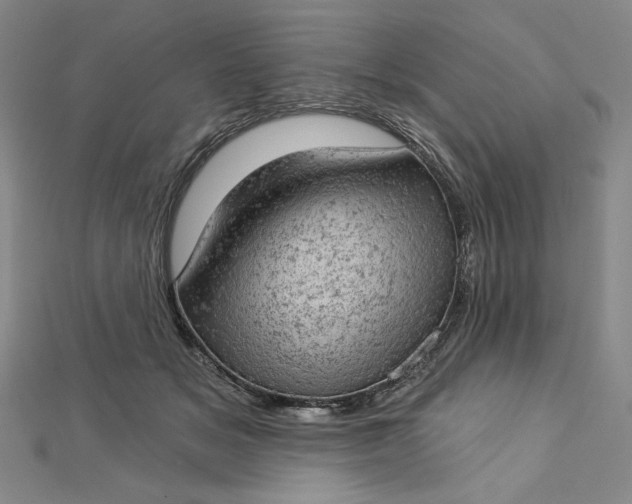 X0000112780509200909031631