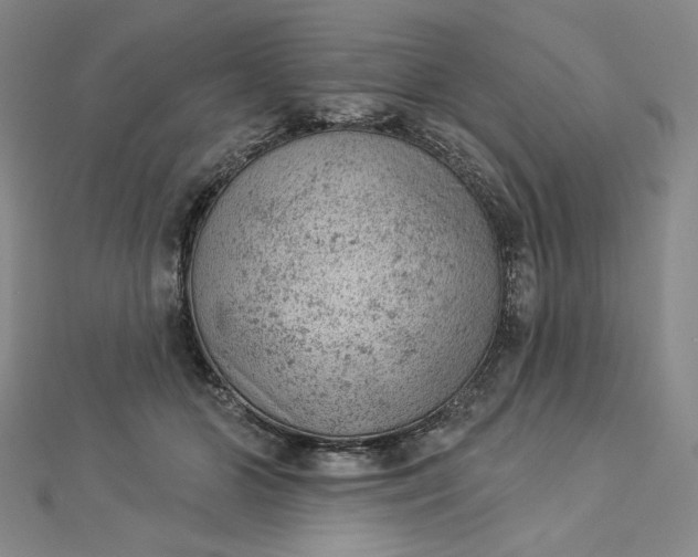 X0000112780510200909031631