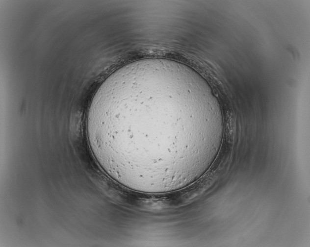 X0000112780511200909031631