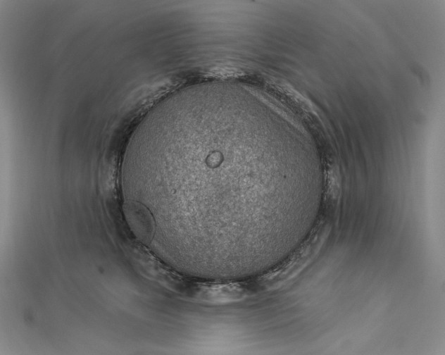 X0000112780517200909031631