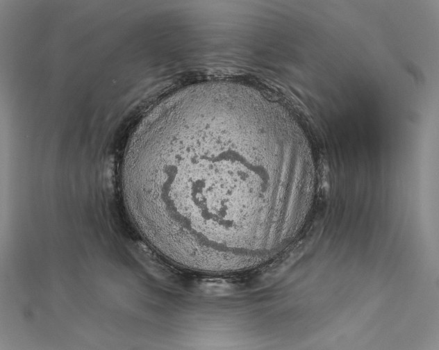 X0000112780519200909031631