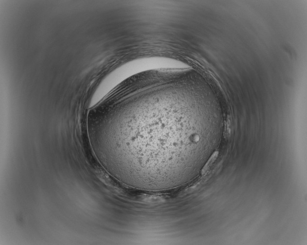 X0000112780520200909031631