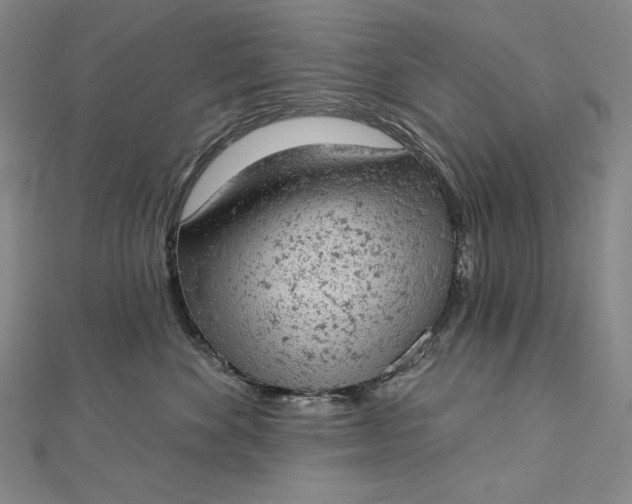 X0000112780524200909031631