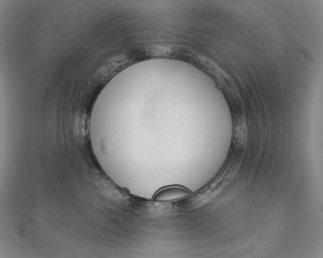 X0000112780525200909031631