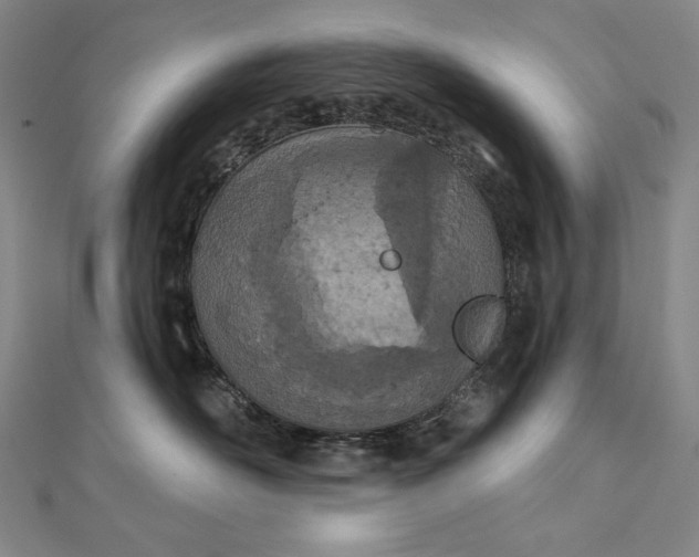 X0000112780526200909031631