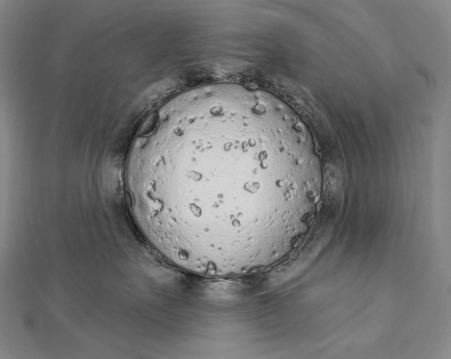 X0000112780527200909031631