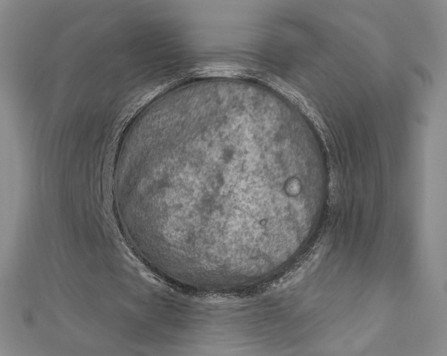 X0000112780529200909031630