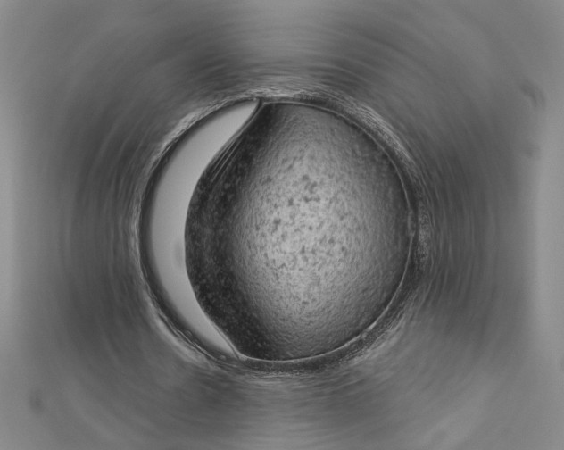 X0000112780530200909031630