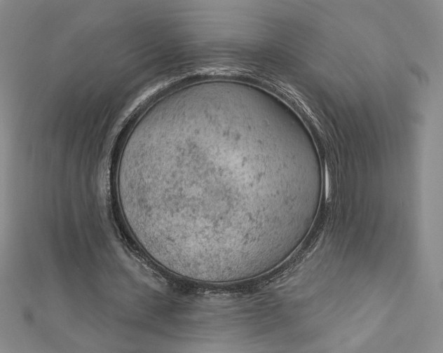 X0000112780531200909031630