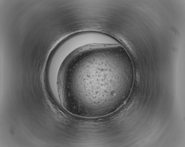 X0000112780532200909031630