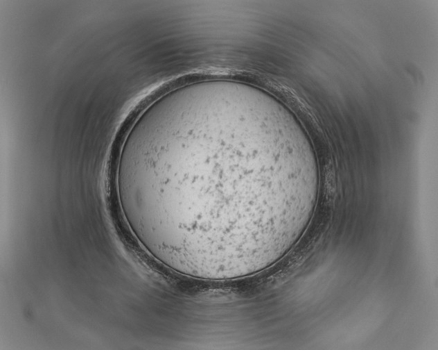 X0000112780536200909031630