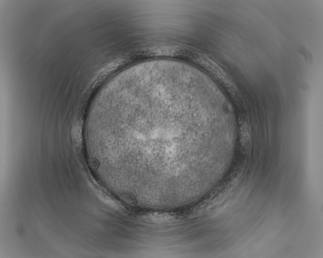 X0000112780537200909031630