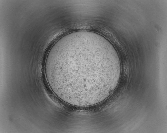 X0000112780538200909031630