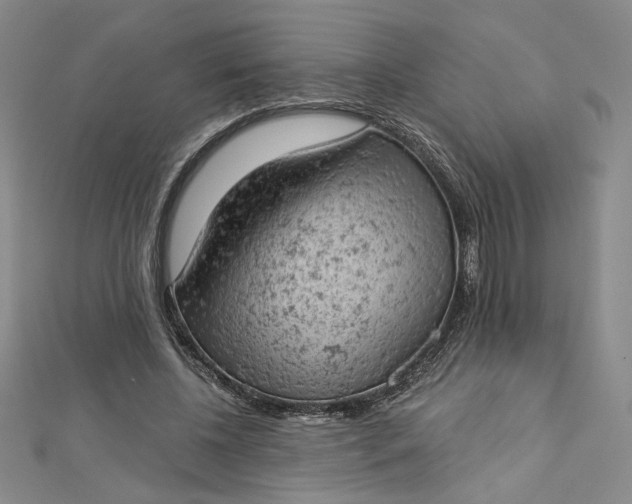 X0000112780540200909031630