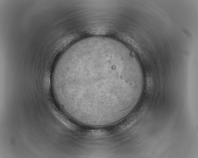 X0000112780541200909031630