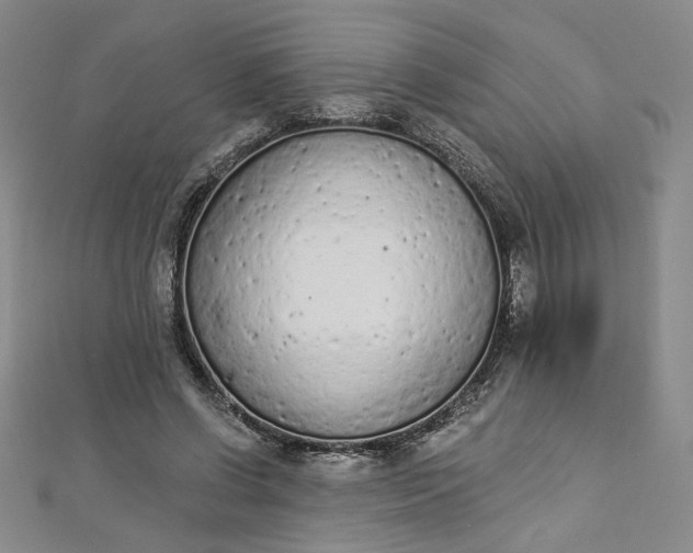 X0000112780542200909031630