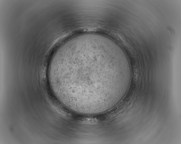 X0000112780543200909031630