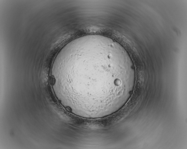 X0000112780545200909031630