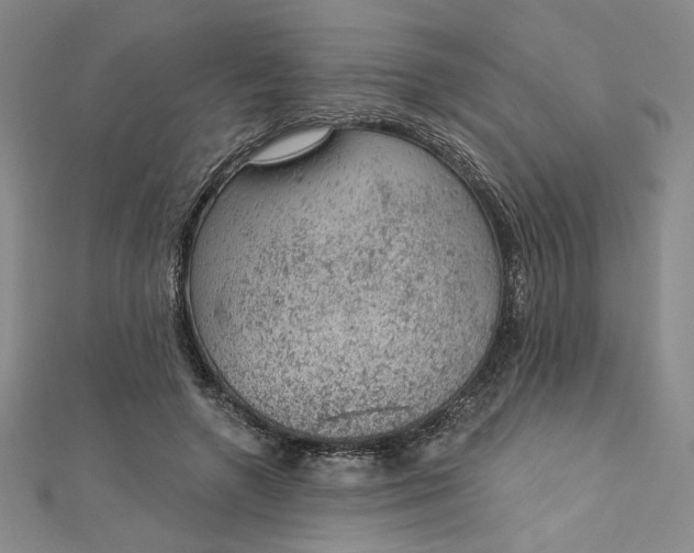 X0000112780546200909031630