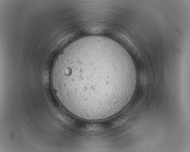 X0000112780549200909031630