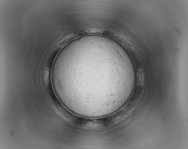 X0000112780550200909031630