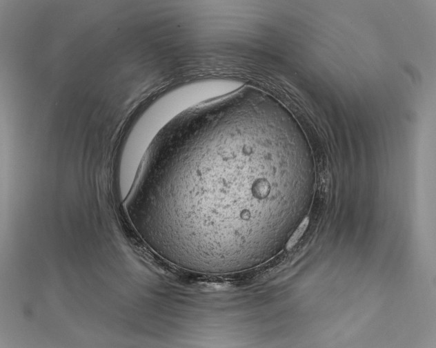 X0000112780552200909031630