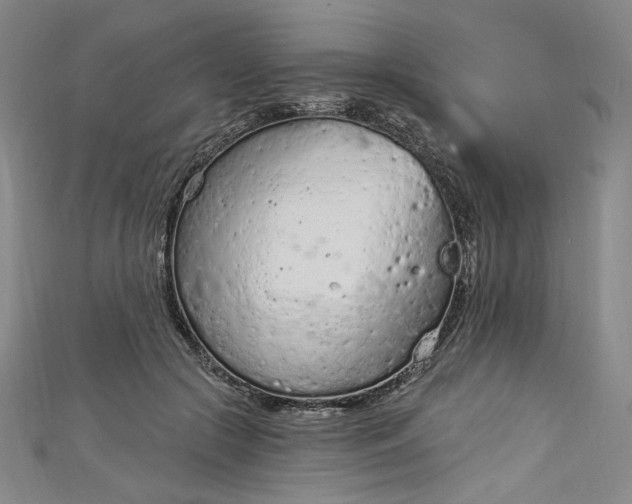 X0000112780553200909031630