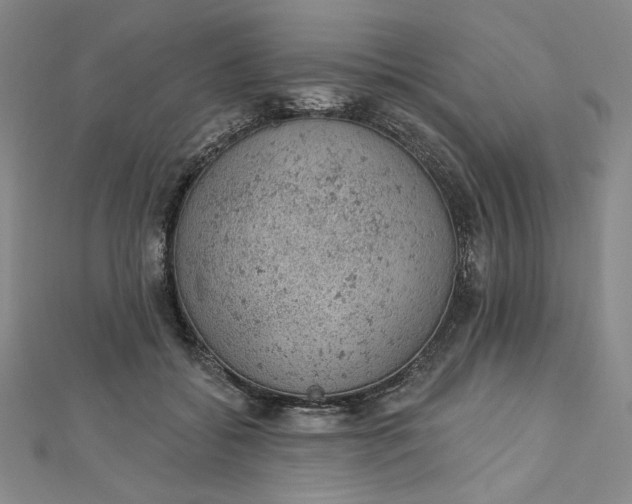 X0000112780556200909031631