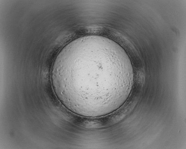 X0000112780557200909031631