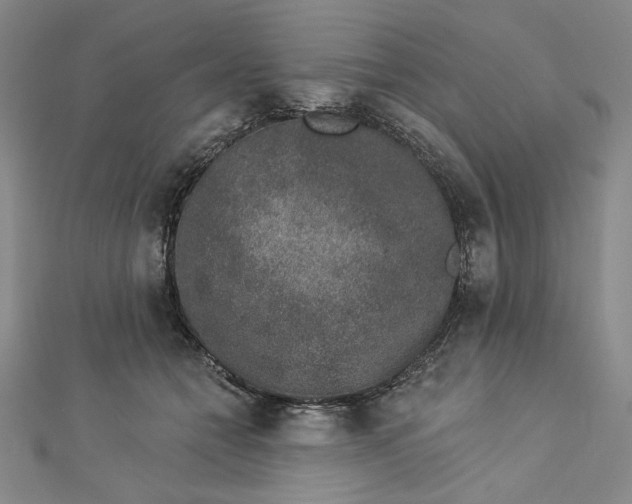 X0000112780558200909031631