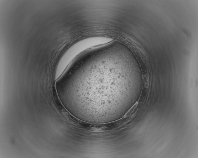 X0000112780560200909031631