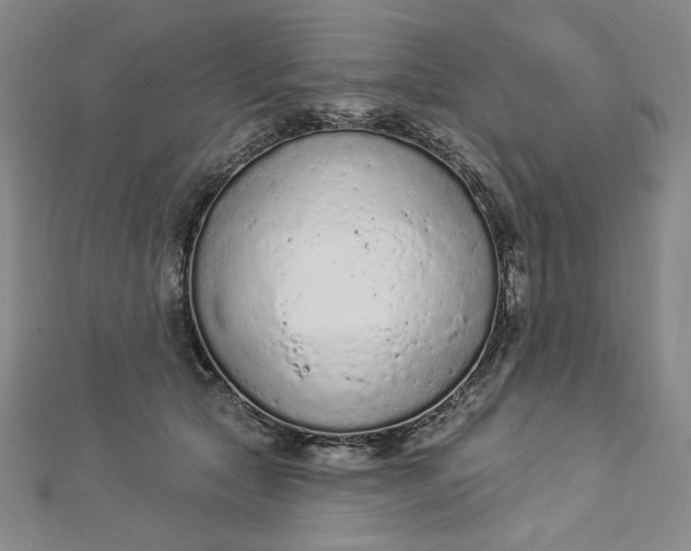 X0000112780561200909031631