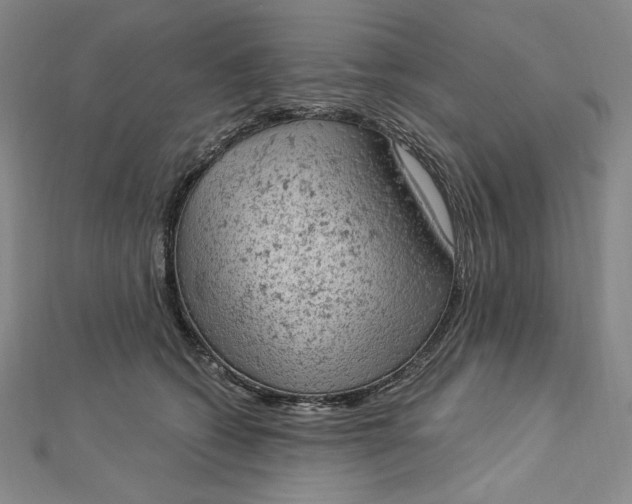 X0000112780562200909031631