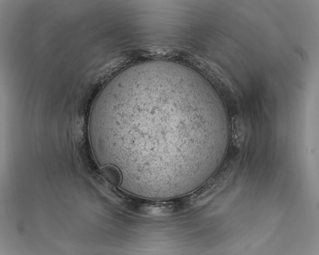 X0000112780563200909031631