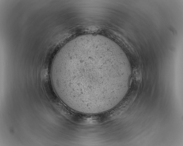 X0000112780564200909031631