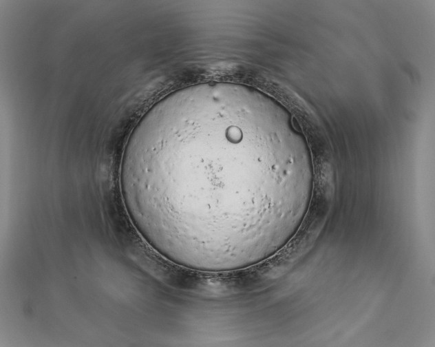 X0000112780565200909031631