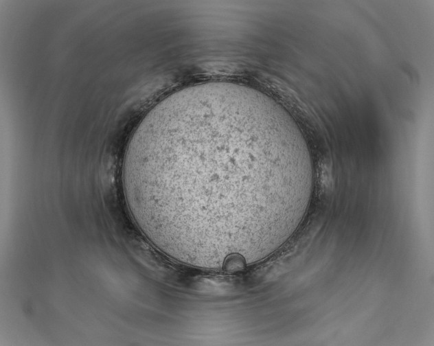 X0000112780567200909031631