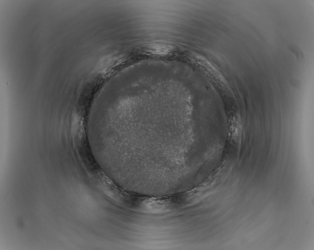 X0000112780568200909031631