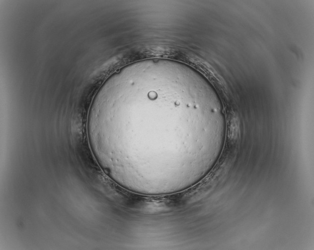 X0000112780569200909031631