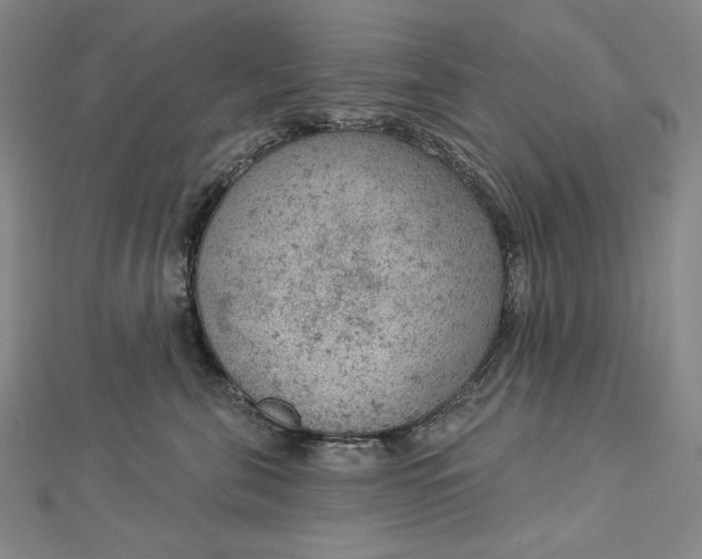 X0000112780571200909031631