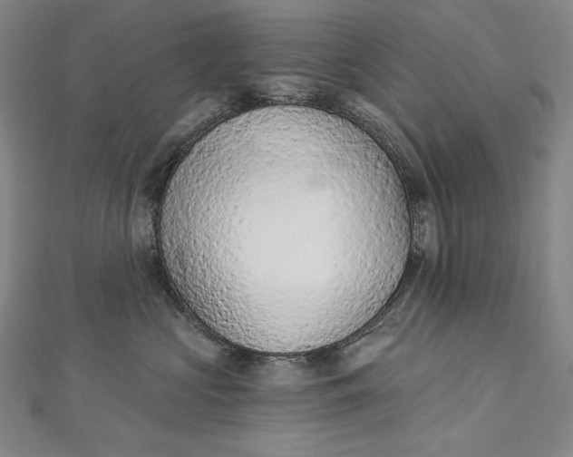 X0000112780573200909031631