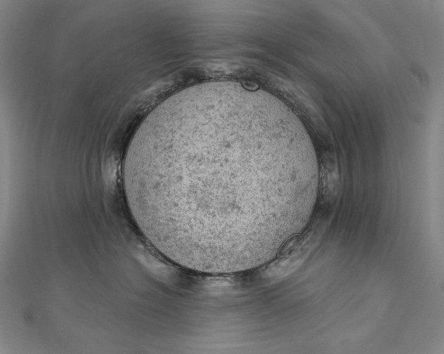 X0000112780574200909031631