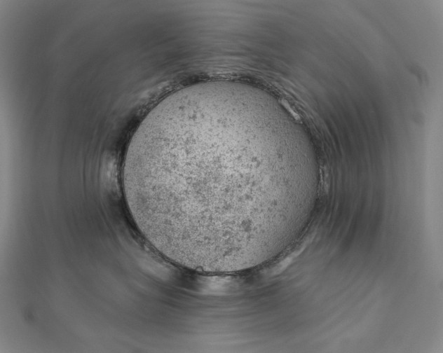 X0000112780575200909031631