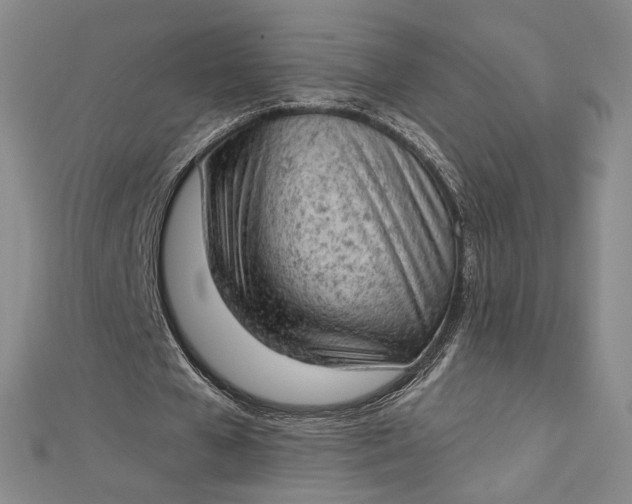 X0000112780577200909031630