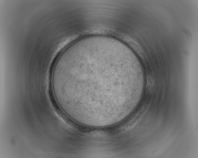 X0000112780578200909031630