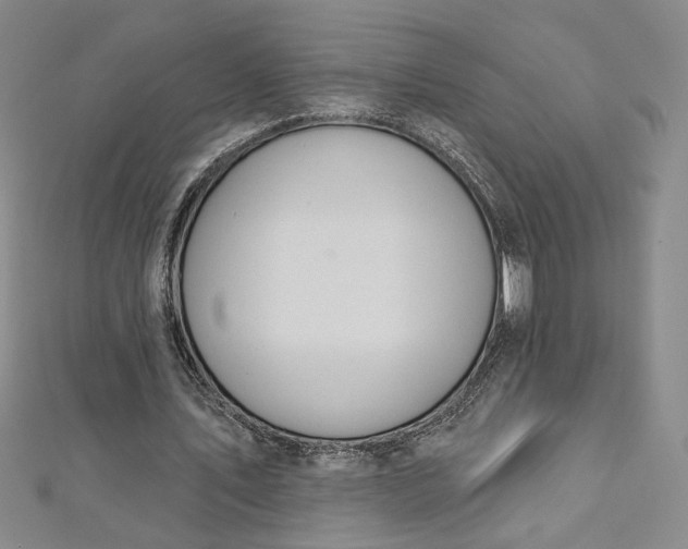 X0000112780579200909031630